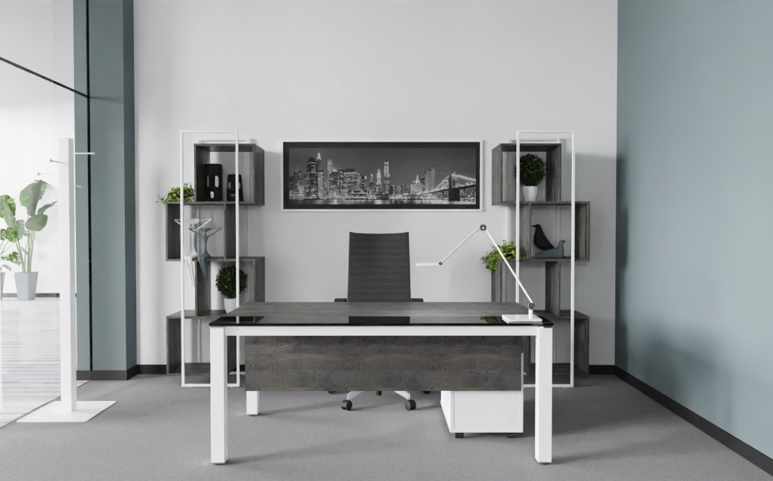 Modernes Home Office - Schreibtisch und Regale Fineze