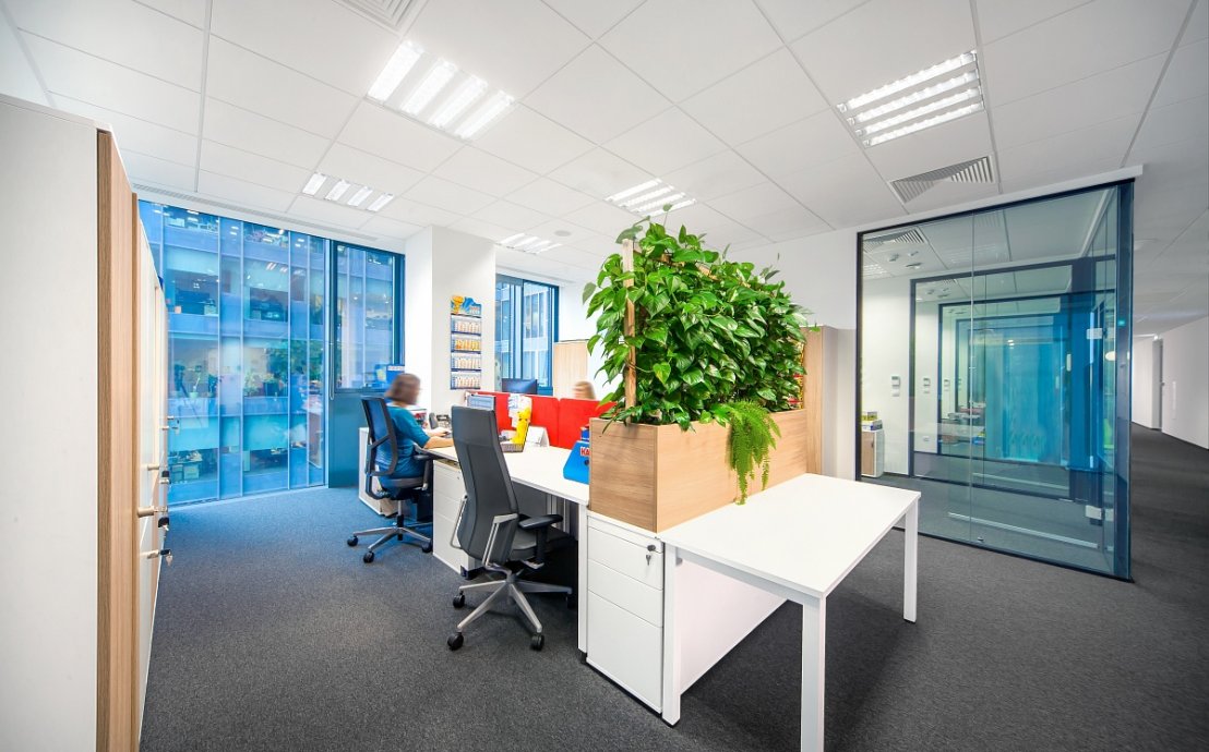 Büroräume mit Pflanzen - Referenzprojekt Haribo