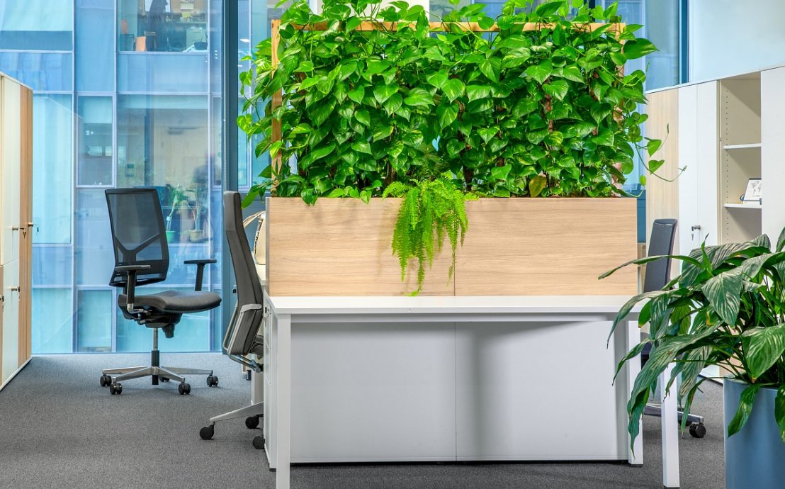 Pflanzen im Büro - Referenzprojekt Haribo