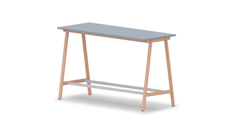 projekt1010