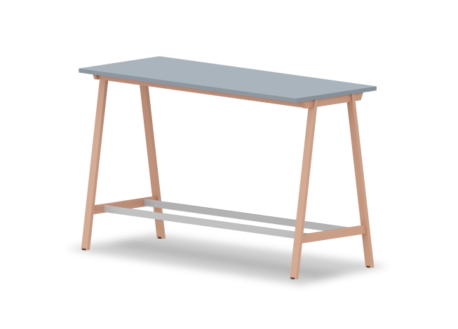 projekt1010