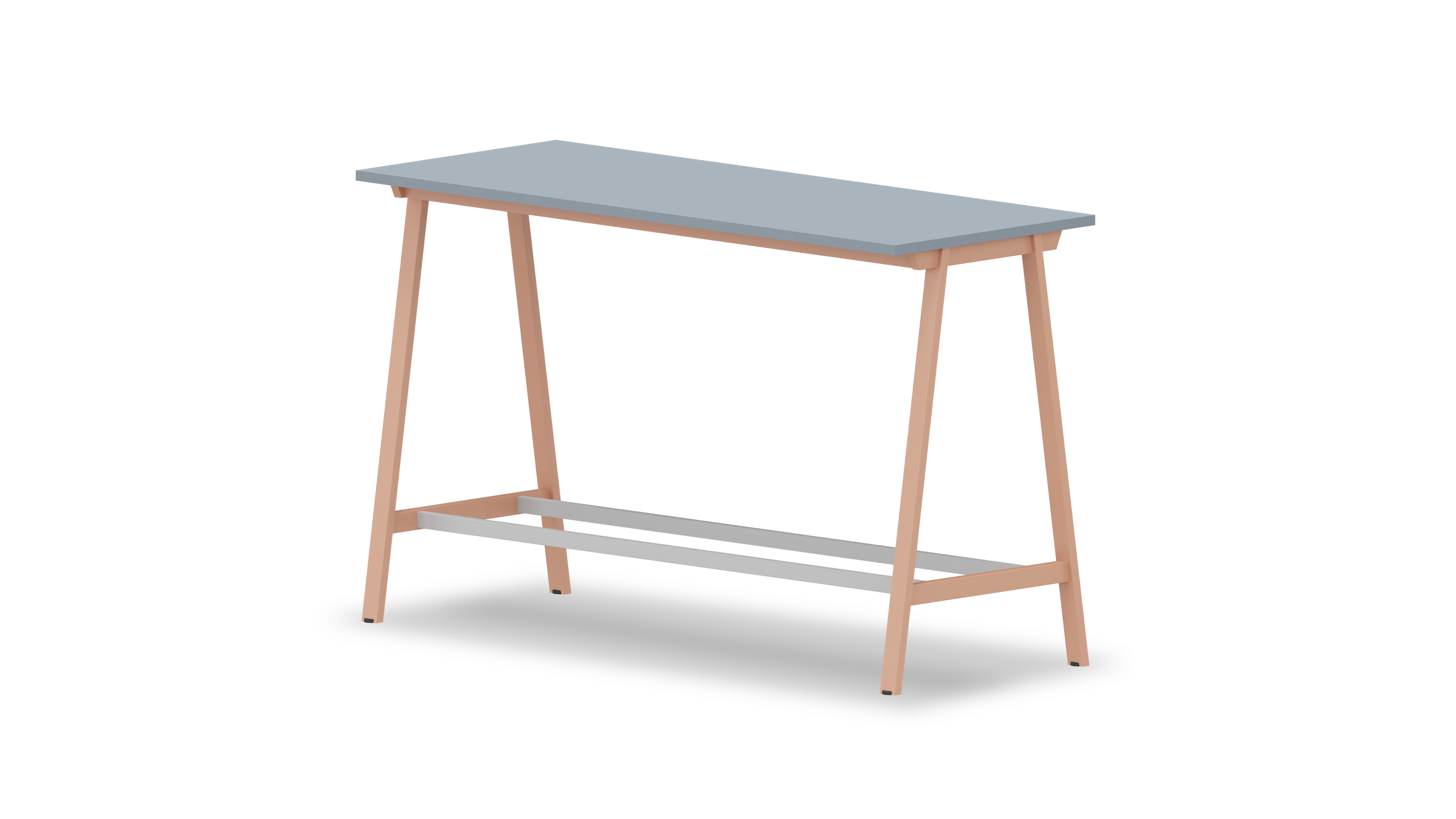 projekt1010