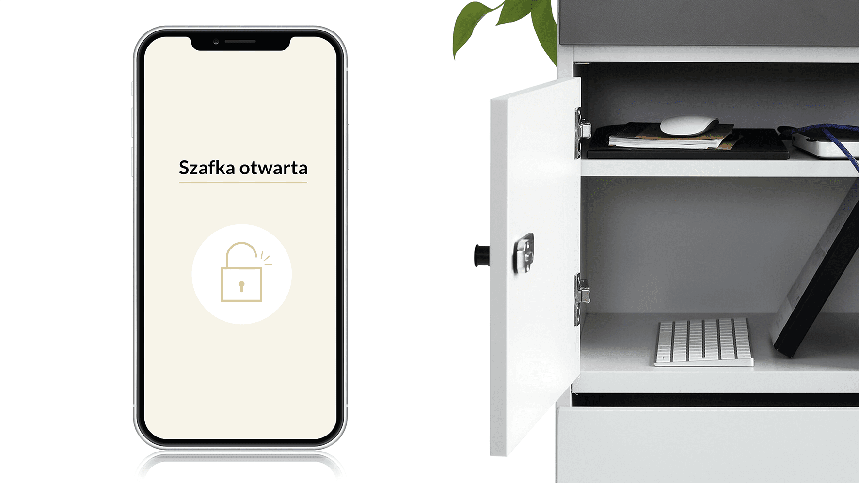 BookinGO – systemy zarządzania zasobami biura